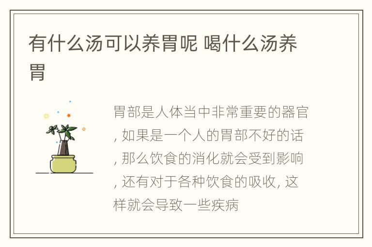 有什么汤可以养胃呢 喝什么汤养胃