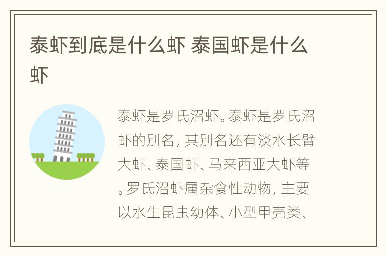 泰虾到底是什么虾 泰国虾是什么虾
