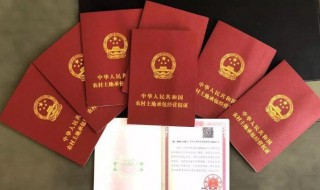 房屋确权必须是户主吗 房屋确权是不是必须是户主