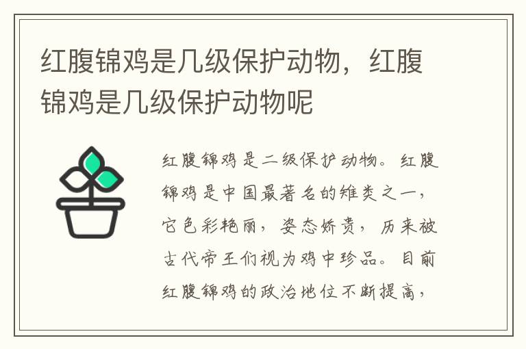 红腹锦鸡是几级保护动物，红腹锦鸡是几级保护动物呢