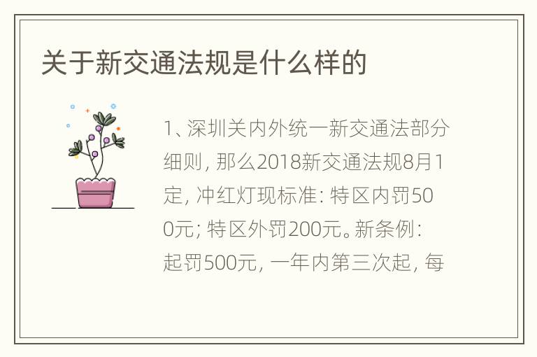关于新交通法规是什么样的