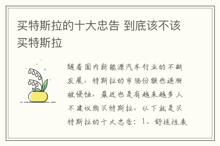 买特斯拉的十大忠告 到底该不该买特斯拉