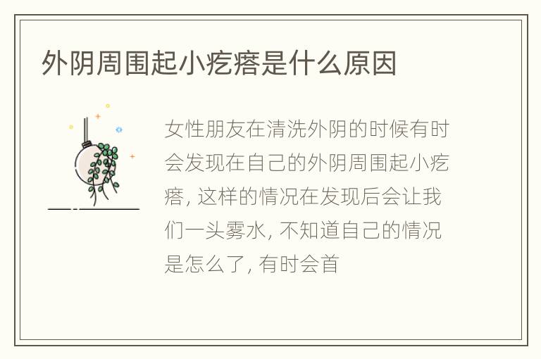 外阴周围起小疙瘩是什么原因