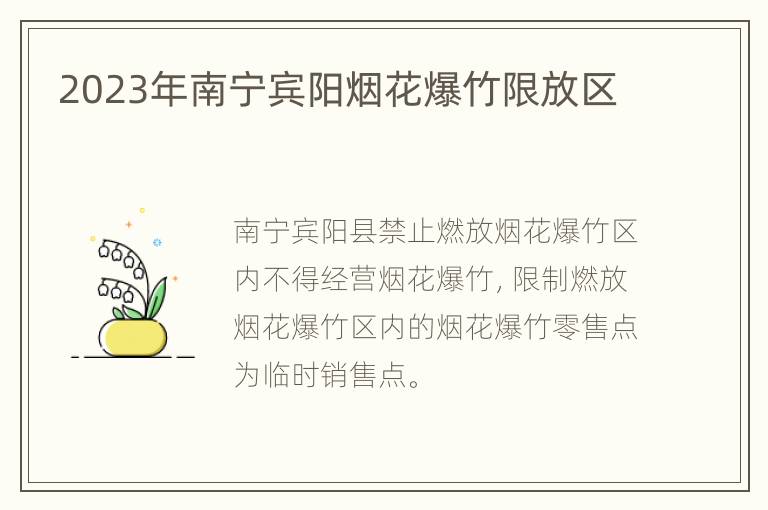 2023年南宁宾阳烟花爆竹限放区