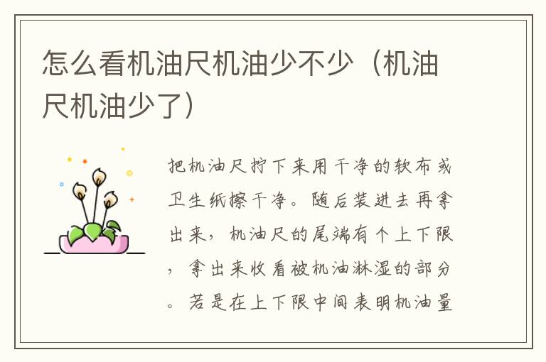 怎么看机油尺机油少不少（机油尺机油少了）