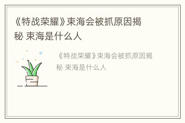 《特战荣耀》束海会被抓原因揭秘 束海是什么人