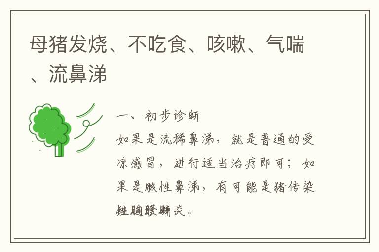 母猪发烧、不吃食、咳嗽、气喘、流鼻涕