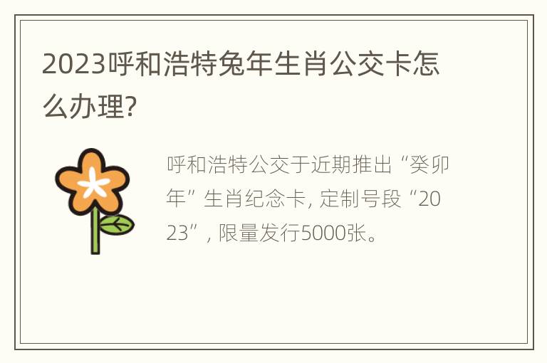 2023呼和浩特兔年生肖公交卡怎么办理？