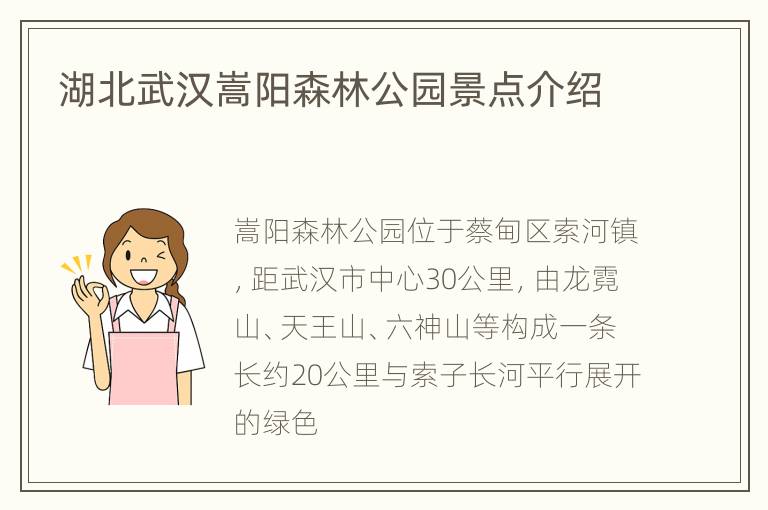 湖北武汉嵩阳森林公园景点介绍