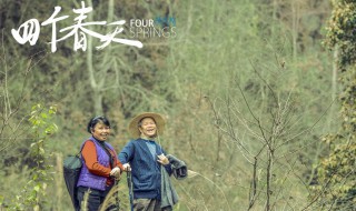 四个春天讲的什么地方的故事 四个春天的简介