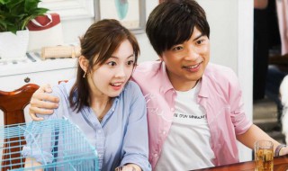 万能图书馆小龙女扮演者是谁 万能图书馆的简介