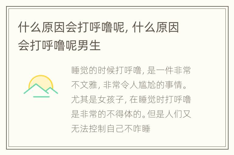 什么原因会打呼噜呢，什么原因会打呼噜呢男生