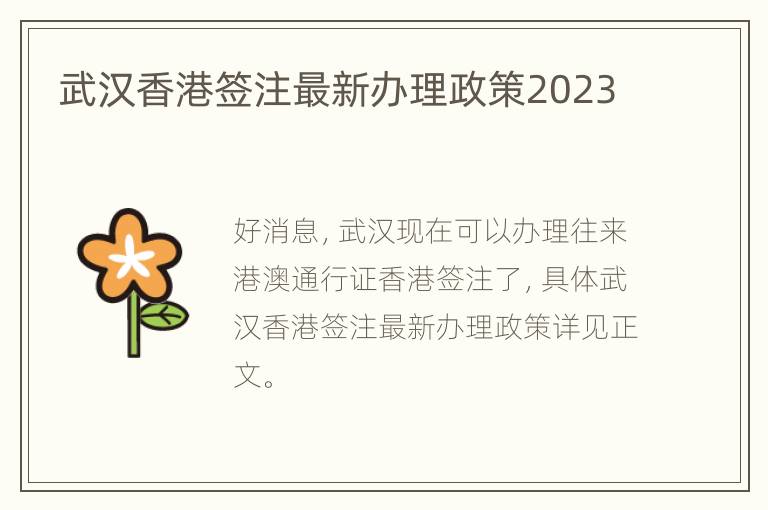 武汉香港签注最新办理政策2023