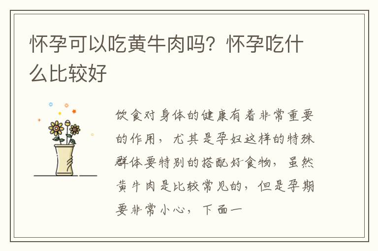 怀孕可以吃黄牛肉吗？怀孕吃什么比较好