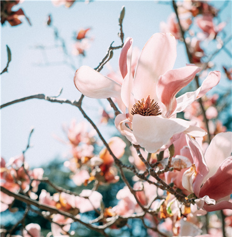 不玩微信难道有错吗