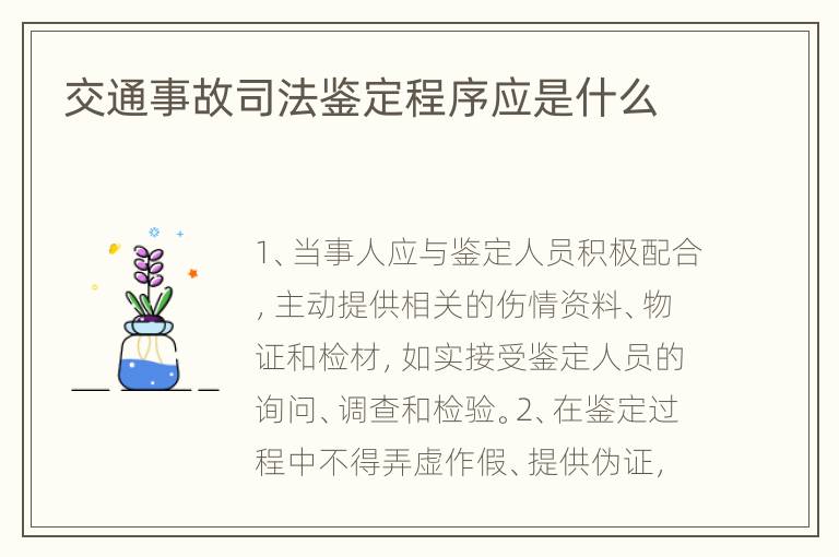 交通事故司法鉴定程序应是什么
