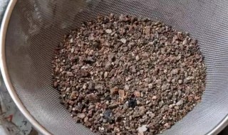 豆渣能做肥料吗 豆渣怎么做肥料