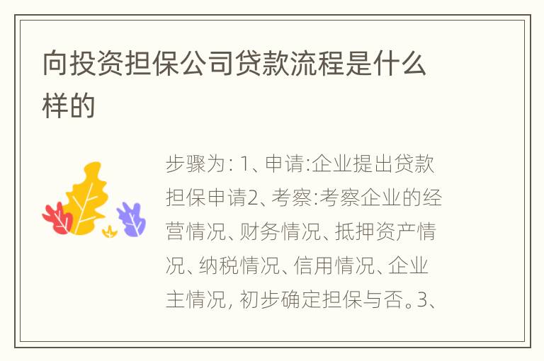 向投资担保公司贷款流程是什么样的