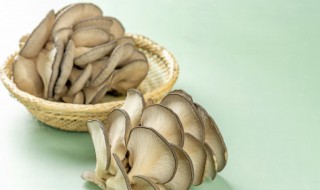 丝瓜蘑菇做法步骤 丝瓜蘑菇的烹饪方法