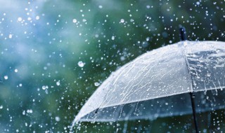 雨天的佳句 雨天的优美句子