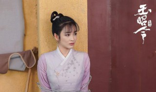 玉昭令什么时候播出 玉昭令的播出时间