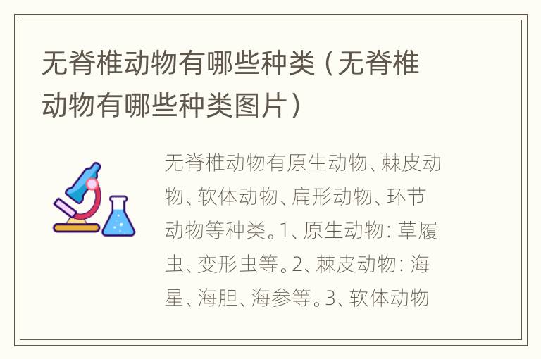 无脊椎动物有哪些种类（无脊椎动物有哪些种类图片）
