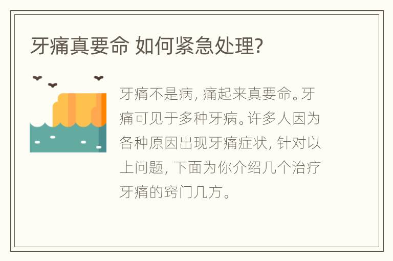 牙痛真要命 如何紧急处理？