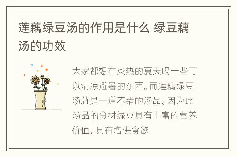 莲藕绿豆汤的作用是什么 绿豆藕汤的功效