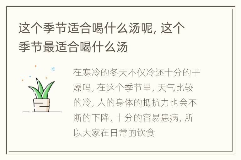 这个季节适合喝什么汤呢，这个季节最适合喝什么汤