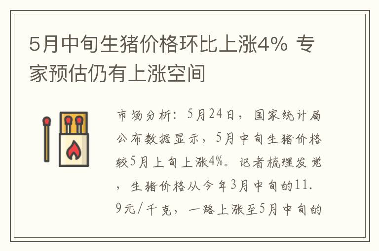 5月中旬生猪价格环比上涨4％ 专家预估仍有上涨空间
