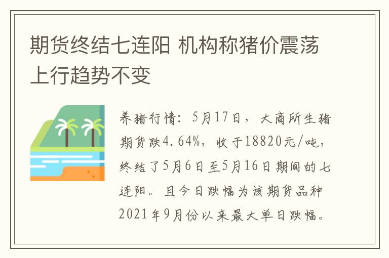 期货终结七连阳 机构称猪价震荡上行趋势不变