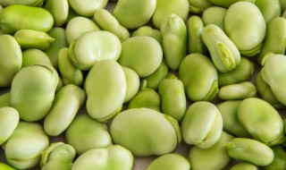 蚕豆生的可以放冰箱吗 蚕豆能放冰箱吗