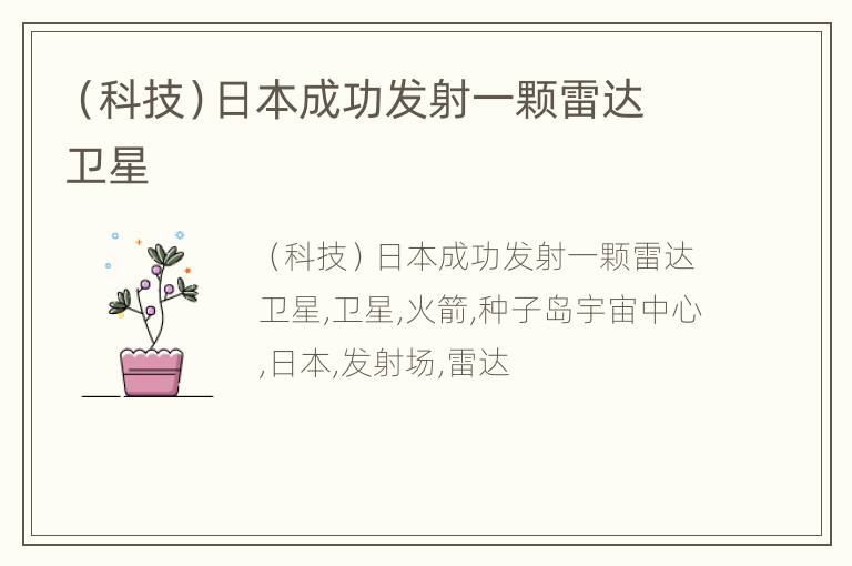 （科技）日本成功发射一颗雷达卫星