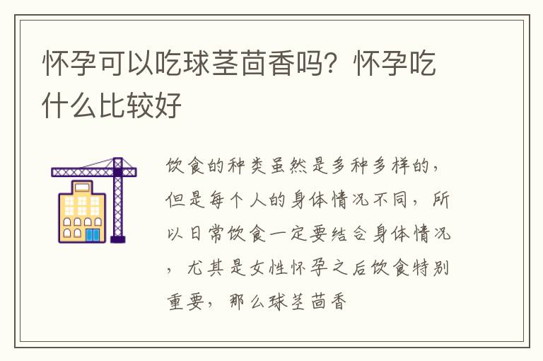 怀孕可以吃球茎茴香吗？怀孕吃什么比较好