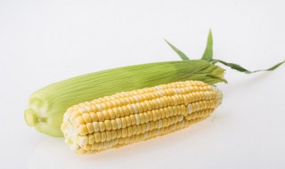 玉米冷水下锅煮多久? 玉米冷水下锅煮多久就熟了
