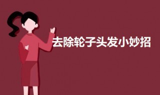 去除轮子头发小妙招 去除轮子头发有什么方法