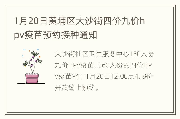 1月20日黄埔区大沙街四价九价hpv疫苗预约接种通知