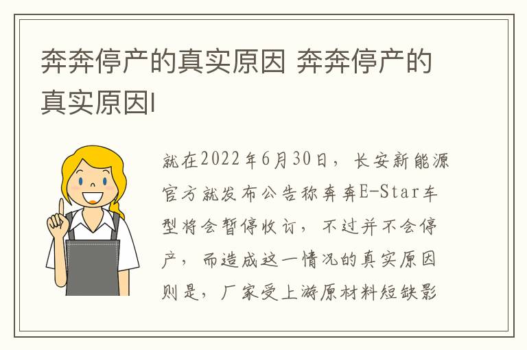 奔奔停产的真实原因 奔奔停产的真实原因l