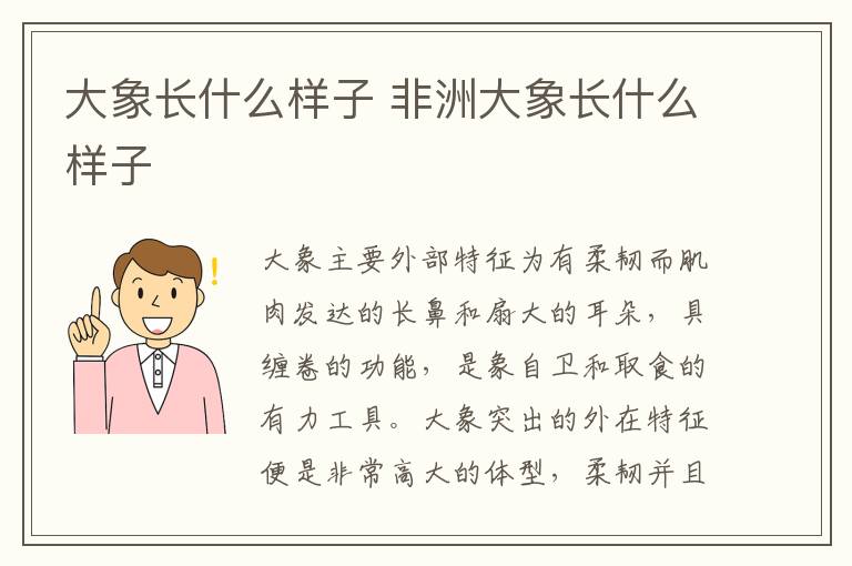 大象长什么样子 非洲大象长什么样子