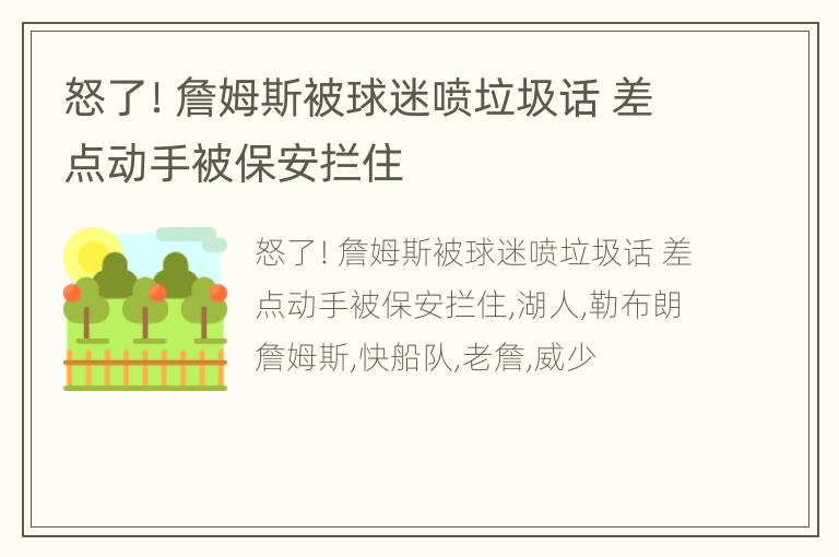 怒了！詹姆斯被球迷喷垃圾话 差点动手被保安拦住