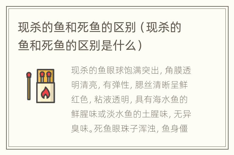 现杀的鱼和死鱼的区别（现杀的鱼和死鱼的区别是什么）