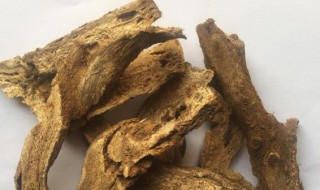 清木香的作用与功效 清木香的作用与功效有哪些