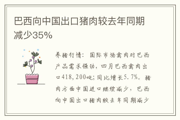 巴西向中国出口猪肉较去年同期减少35%