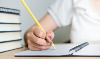 知音难寻求歌词 知音难寻求歌词是什么意思