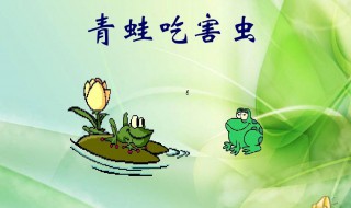 青蛙一天能吃多少只害虫 青蛙一天可以吃多少只害虫