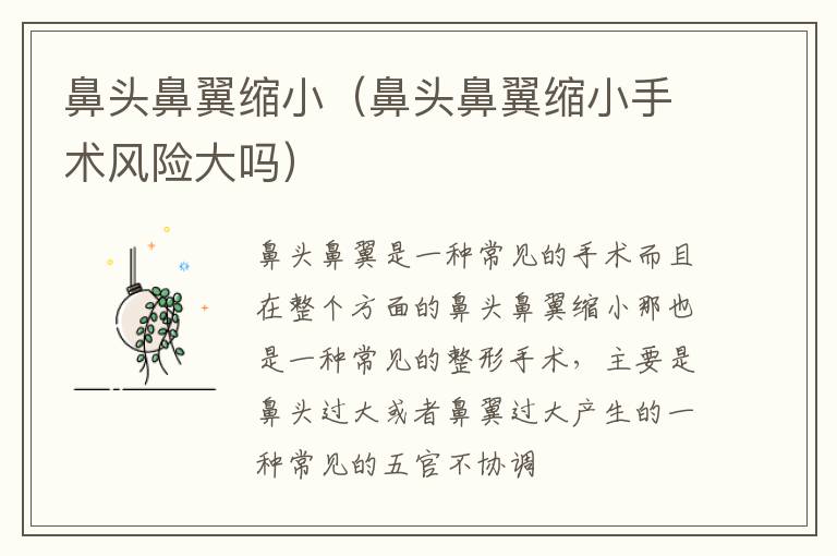鼻头鼻翼缩小（鼻头鼻翼缩小手术风险大吗）