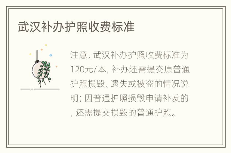 武汉补办护照收费标准