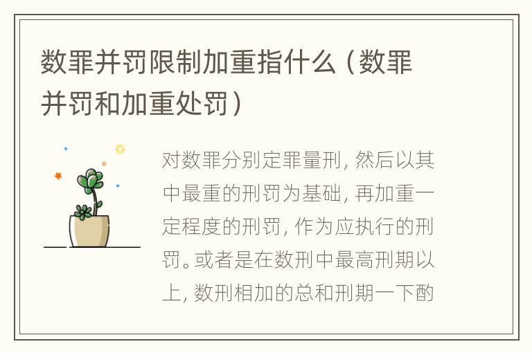 数罪并罚限制加重指什么（数罪并罚和加重处罚）