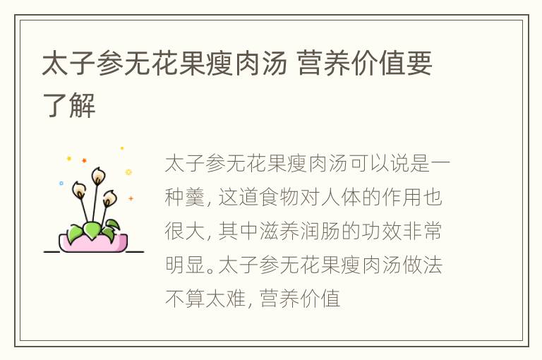太子参无花果瘦肉汤 营养价值要了解