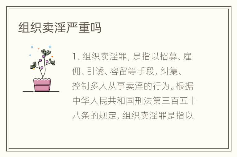 组织卖淫严重吗